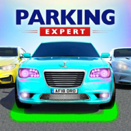 RealCarParking(ר��ͣ�������°�)