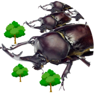 AttackBeetle(������ģ������Ϸ)