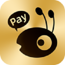 ����Pay���°�