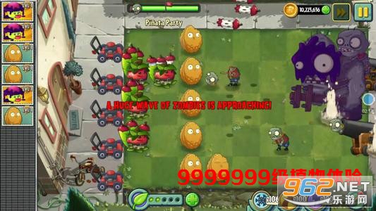 9999999��ֲ���������ع��ʰ�