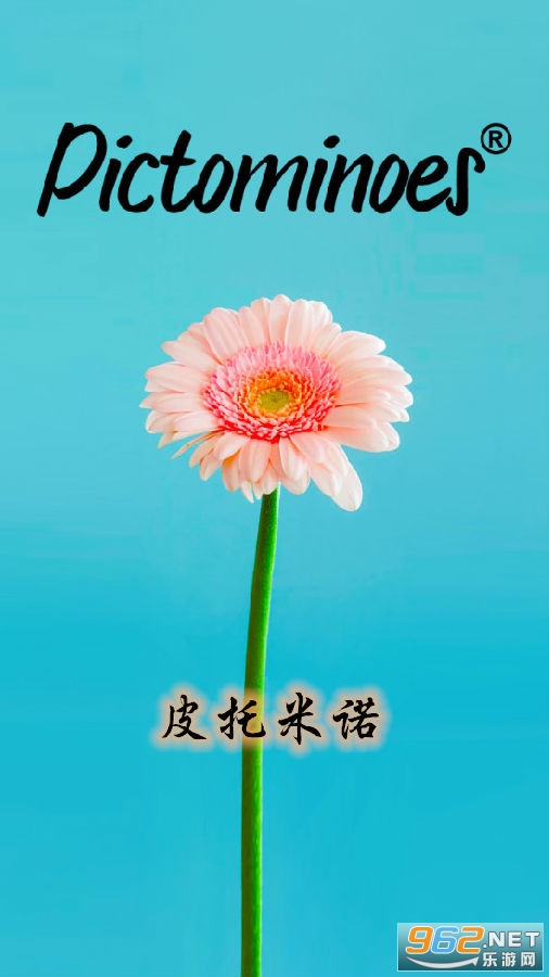 Ƥ����ŵ�ƽ��