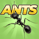 Pocket Ants(�ڴ�����ģ����)
