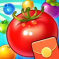 Fruit Smasher(����ˮ������������)