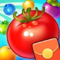 Fruit Smasher(����ˮ���������)