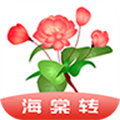 ����תapp