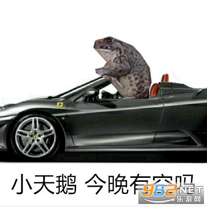 С�������п���ͼƬ�����ͼ0