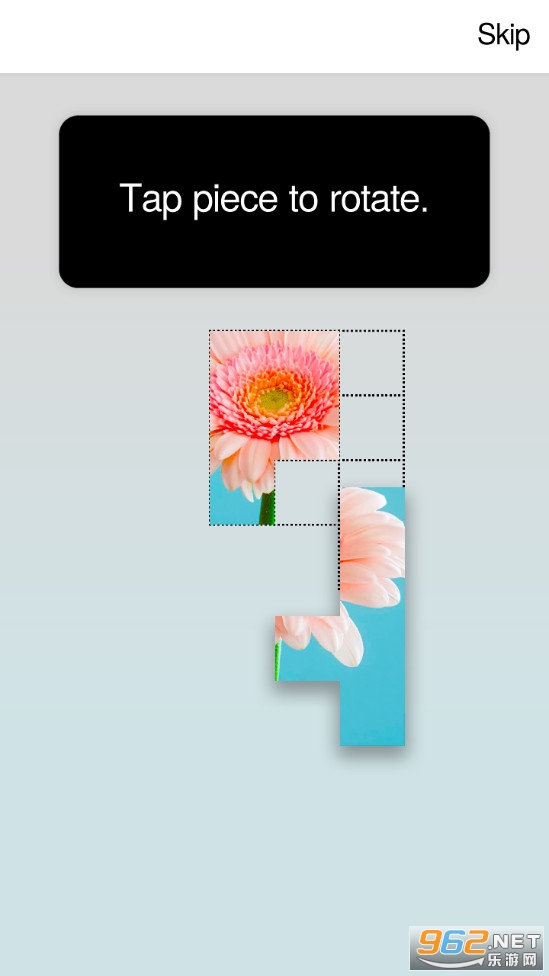 Ƥ����ŵ�������ͼ3