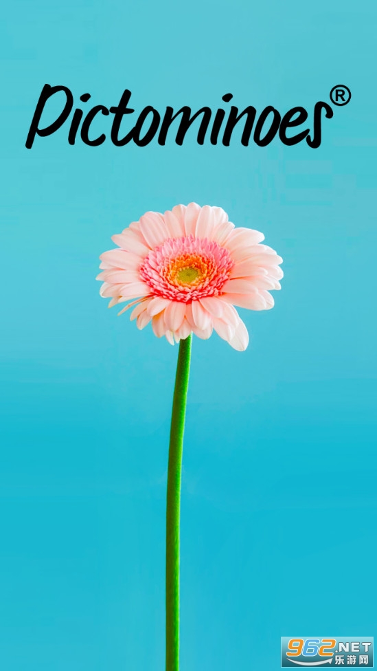 Ƥ����ŵ�������ͼ5