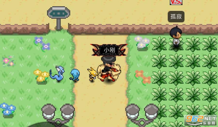 ����Ծ�����PokePlus���°汾��ͼ3
