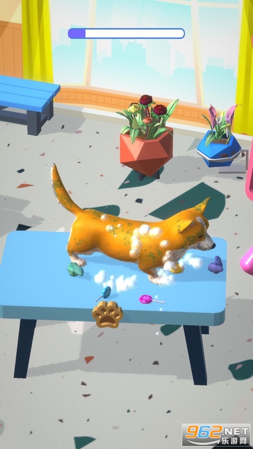 Zoosalon 3D��Ϸv1.0 �ٷ����ͼ3