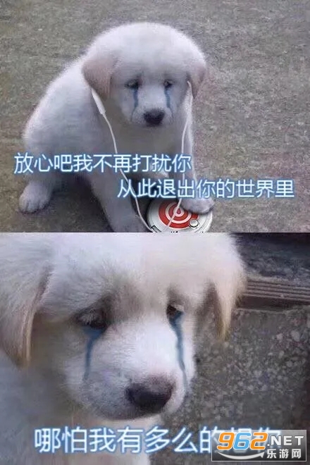 �����Ʊ����