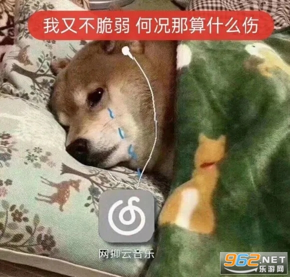 �����Ʊ����