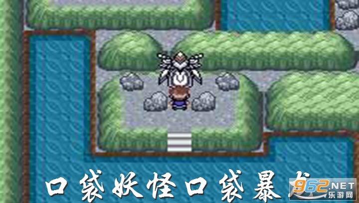 口袋妖怪口袋暴龙 口袋妖怪口袋暴龙