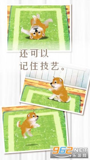 ������Ȯ��������Ϸ���İ��ͼ1