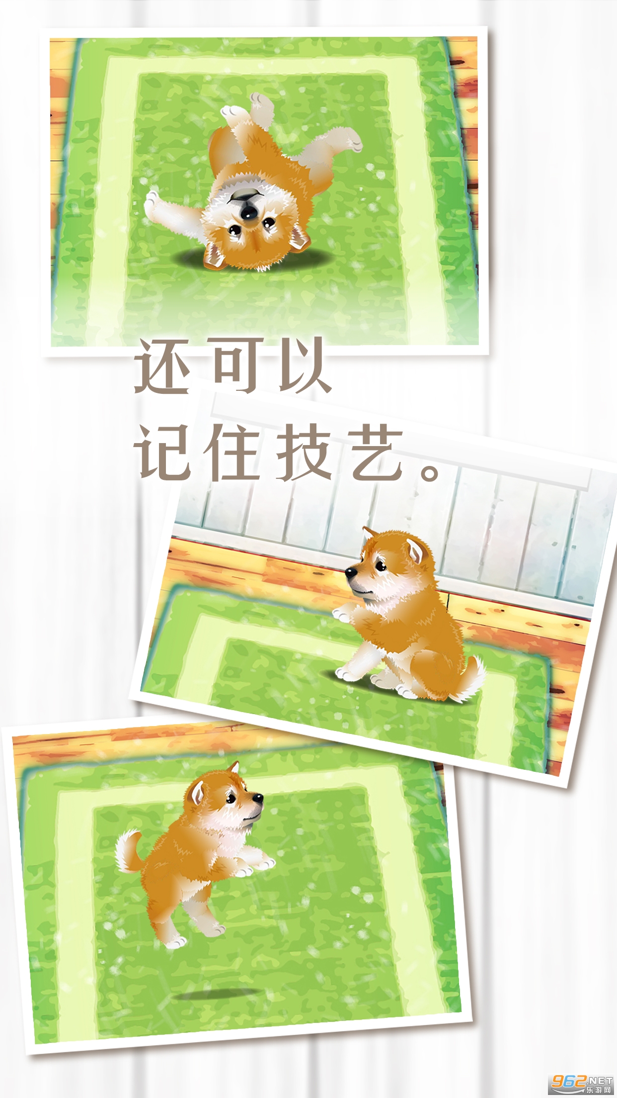 ������Ȯ��������Ϸ��׿��v1.0.0 ���İ��ͼ3