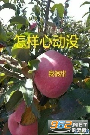 ����appv1.0.0��ˮ����ͼ0