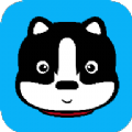 С����Ƶapp������