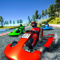 Ultimate Karting 3D Go Karts Racing Champion�ռ�������3D��Ϸ�ٷ����°�