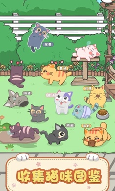 奇妙猫之家游戏截图2