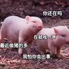 ����͹��춼��һ������ȴ���ǹ���һ�˱����