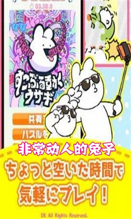 非常动人的兔子安卓版 非常动人的兔子安卓版