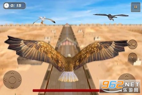 Birds Race Simulator: Eagle Race Game(��ӥ����ģ�������İ�)��ͼ0