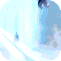 �����GM��