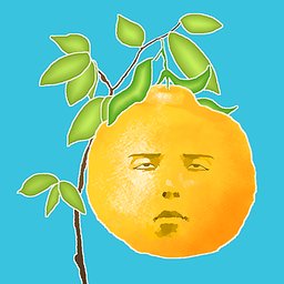 �����Τʤ�ľ(�����������ĺ�����)