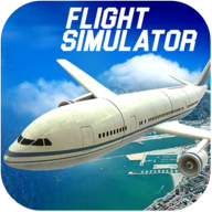 Crazy Flight Simulator 2017(���ɻ�ģ������Ϸ)