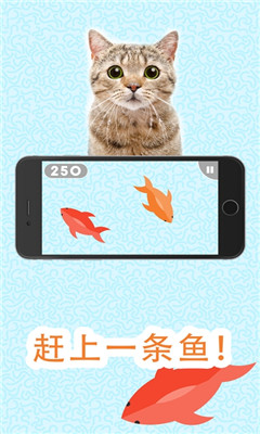 Games For Cats(��ϷΪè����)v1.4.3 ���İ��ͼ2