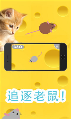 Games For Cats(��ϷΪè����)v1.4.3 ���İ��ͼ1