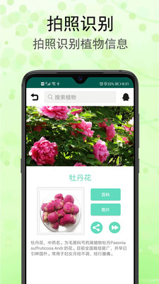 ʶ���ݰ�׿���ͼ3