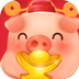 ÿ�����������