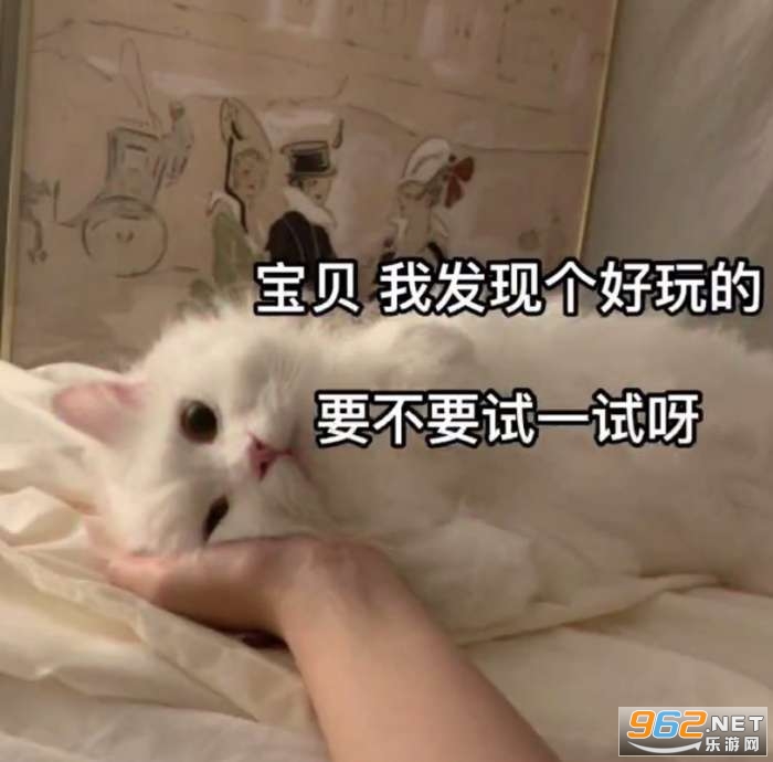 ��������ú���˵2�����