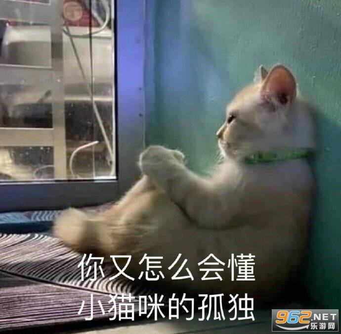 ������ô�ᶮСè��Ĺ¶������