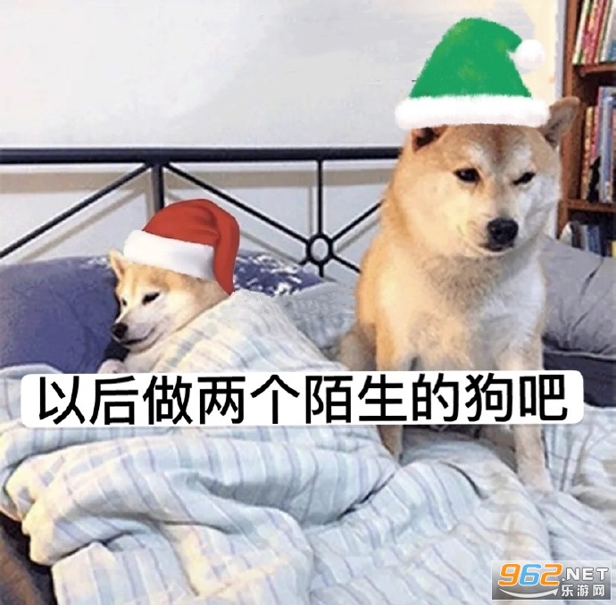 ������ô�ᶮСè��Ĺ¶������