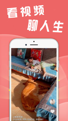 Ȥ�������app