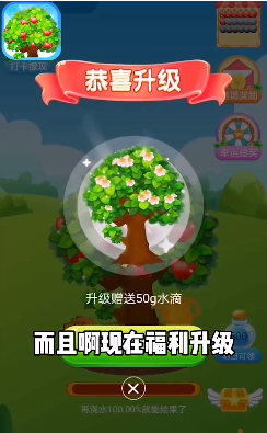 ���ֹ�԰���º�����ͼ1