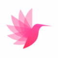 �������콻��APP