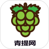������APP