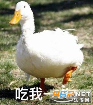 ������е�Ѽ�ӱ��������ͼƬ��ͼ0