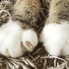 ����Ϊ��ֻ������һ��������ȱ������ͼ4