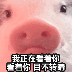 ����Ϊ��ֻ������һ��������ȱ������ͼ7