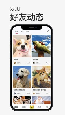 小宠书短视频截图0