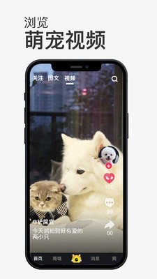 小宠书短视频截图3