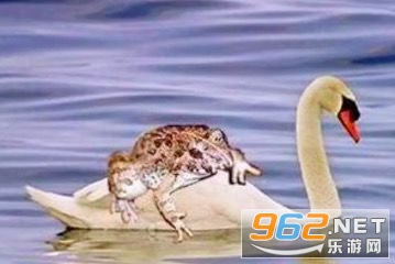 ���������������