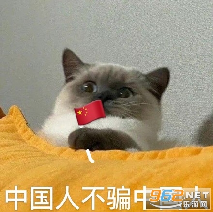 �й��˲�ƭ�й��˱����