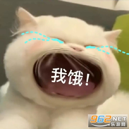 è�������ޱ����