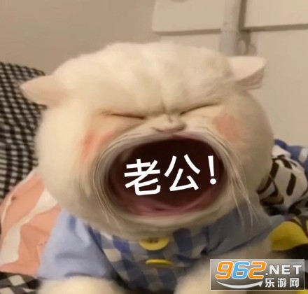 è�������ޱ����