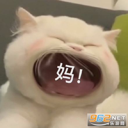 è�������ޱ����